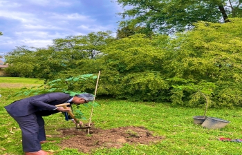 ‘Ek Ped Maa Ke Naam' campaign was launched by PM Modi on World Environment Day. This campaign aims to enhance environmental protection and foster a sustainable future. As part of this initiative, Consulate officials planted saplings on 17 September at Villaggio Hare Krishna in Chignolo d’ Isola.